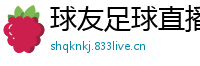 球友足球直播